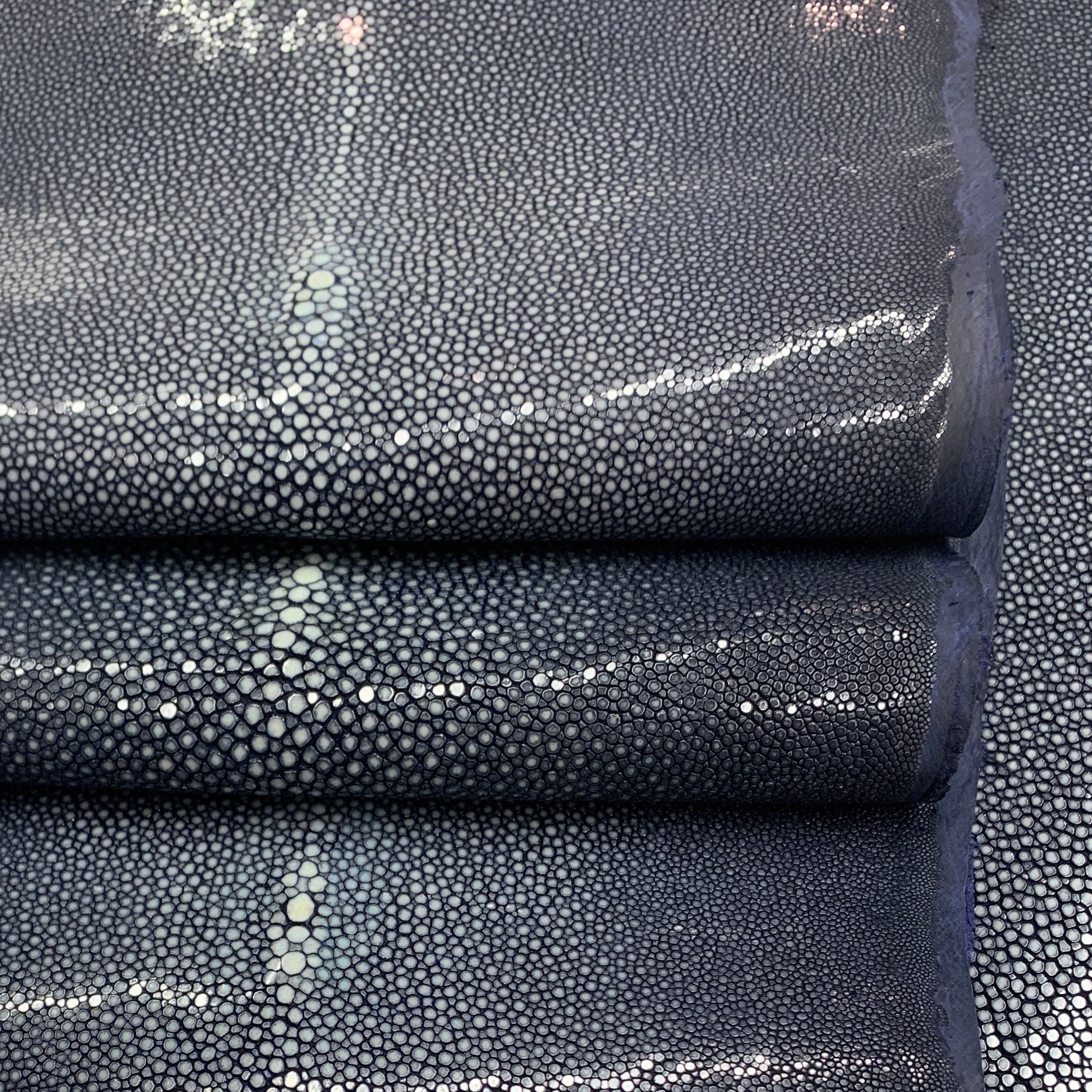 Navy blue Stingray skin | Polished surface