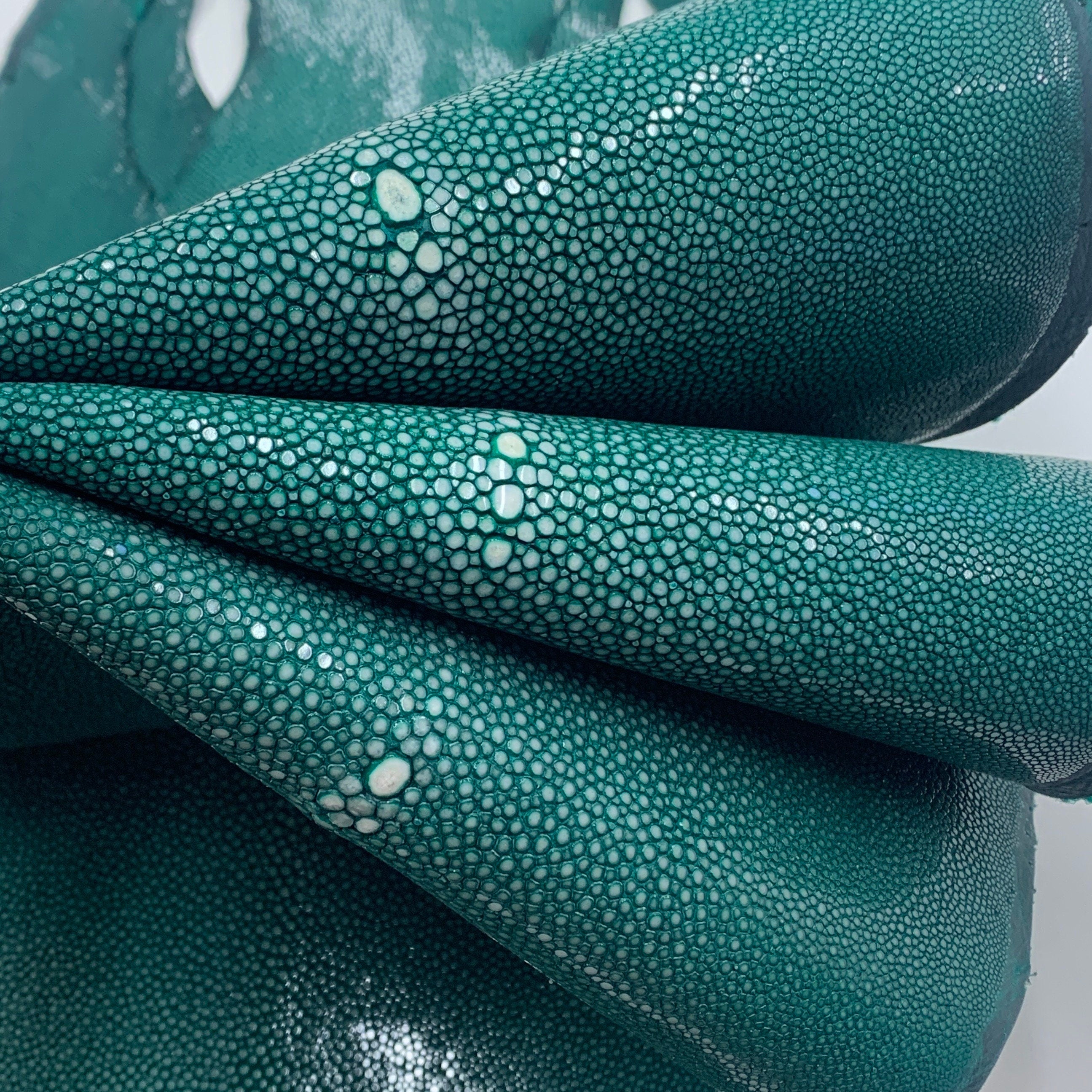 Green Stingray skin | Polished surface